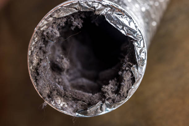 Best Professional Duct Cleaning Services  in Greenacres, CA